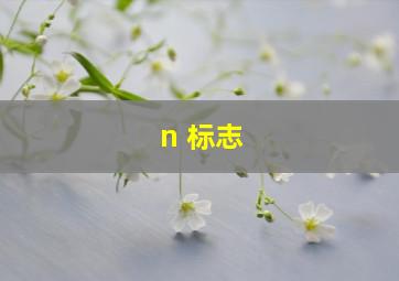 n 标志